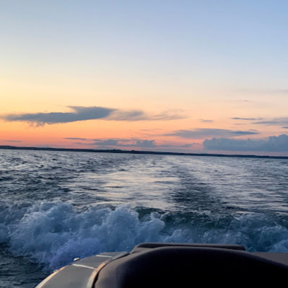 Meet your Posher, Finnegan - Picture 1 of 1